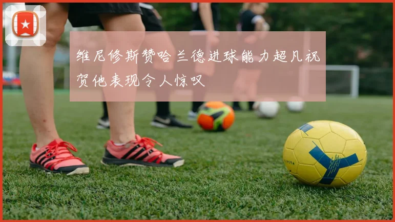 维尼修斯赞哈兰德进球能力超凡祝贺他表现令人惊叹