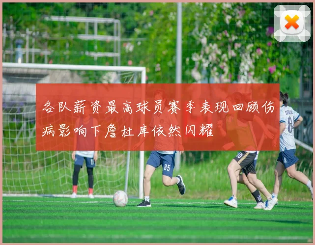 各队薪资最高球员赛季表现回顾伤病影响下詹杜库依然闪耀