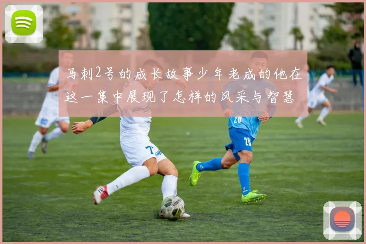 马刺2号的成长故事少年老成的他在这一集中展现了怎样的风采与智慧