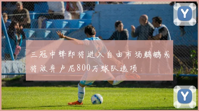 三冠中锋即将进入自由市场鹈鹕或将放弃卢尼800万球队选项