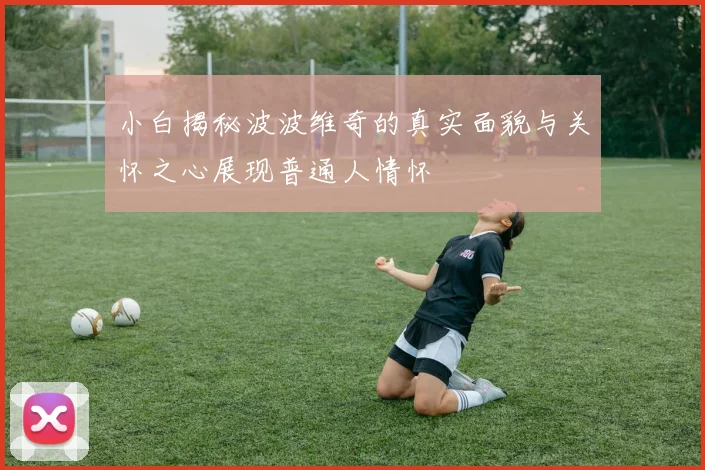 小白揭秘波波维奇的真实面貌与关怀之心展现普通人情怀
